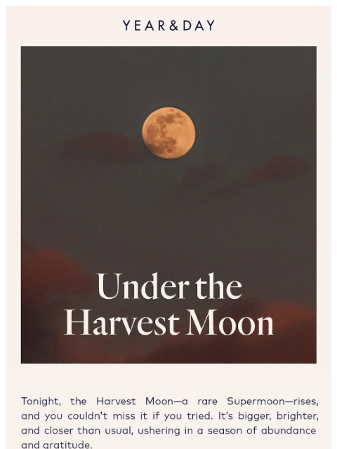 yearandday newsletter: Gather under the supermoon’s glow