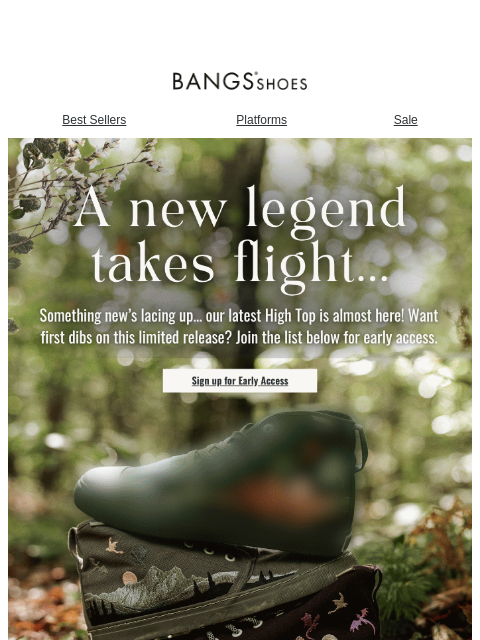 bangsshoes newsletter: A New Legend Takes Flight... ππβ°οΈ