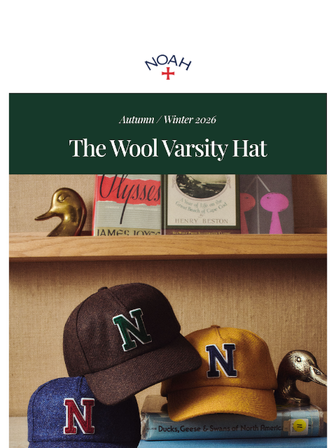 noahny newsletter: The Wool Varsity Hat