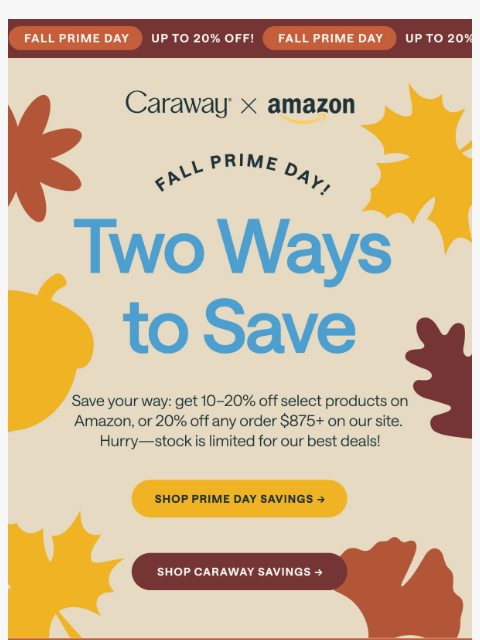carawayhome newsletter: Our Best Deals, Done Two Ways 🛍️