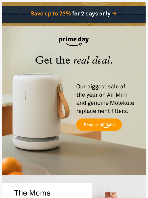 molekule newsletter: Prime Big Deal Days are Back