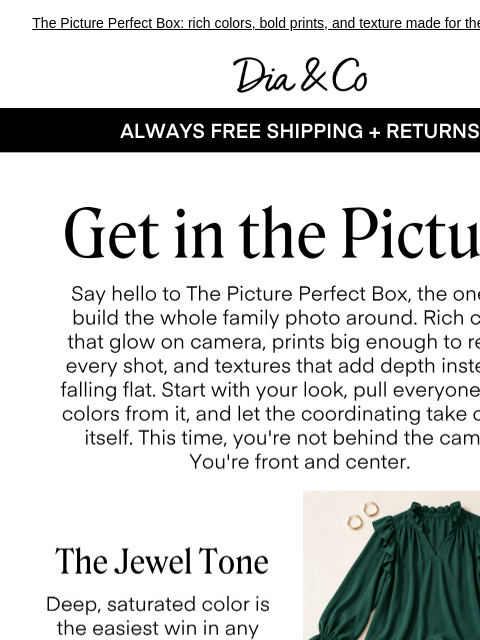 dia newsletter: Get in the picture