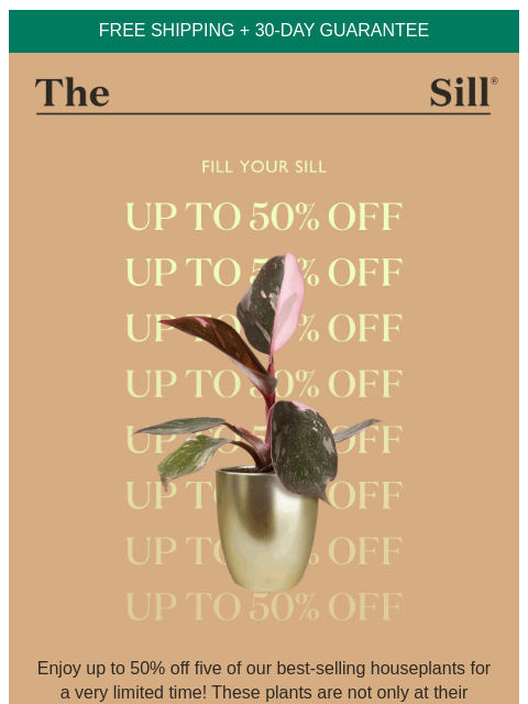 Save big on 5 of our best-selling houseplants ͏ ͏ ͏ ͏ ͏ ͏ ͏ ͏ ͏ ͏ ͏ ͏ ͏ ͏ ͏ ͏ ͏ ͏ ͏ ͏ ͏ ͏ ͏ ͏ ͏ ͏ ͏ ͏ ͏ ͏ ͏ ͏ ͏ ͏ ͏ ͏ ͏ ͏ ͏ ͏ ͏ ͏ ͏ ͏ ͏ ͏ ͏ ͏ ͏ ͏ ͏ ͏ ͏ ͏ ͏ ͏ ͏ ͏ ͏ ͏ ͏ ͏ ͏ ͏ ͏ ͏ ͏ ͏ ͏ ͏ ͏ ͏ ͏ ͏ ͏ ͏ ͏ ͏