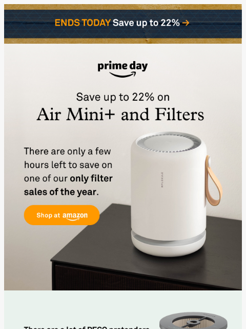 molekule newsletter: Life is Short and so are Prime Big Deal Days ⏰