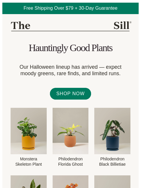 thesill newsletter: 👻 New plants just dropped