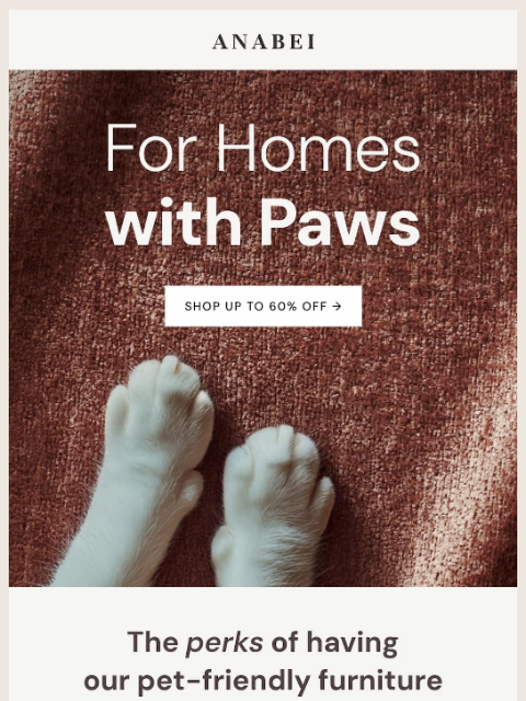 anabei newsletter: For you & your sidekick 🐱🐶