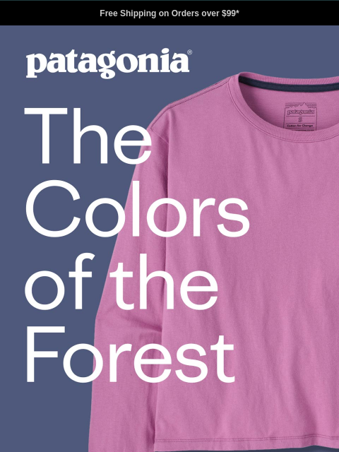 patagonia newsletter: New colors inspired by the Pacific Northwest