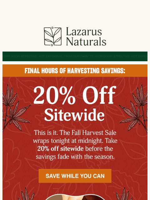 lazarusnaturals newsletter: ⏰ Final Call: 20% Off for Harvest Sale Ends Tonigh...