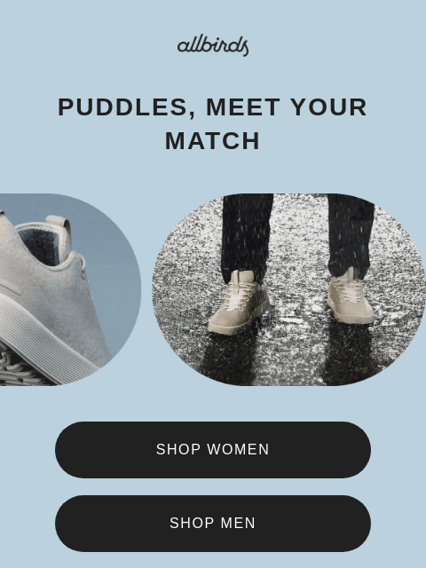 allbirds newsletter: Wool, Now 100% Waterproof.