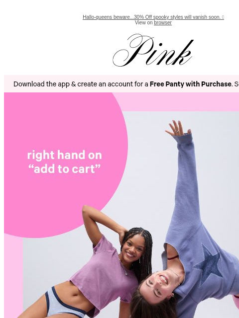 vspink newsletter: Last Day: Add 10/$40 Panties to Your Cart