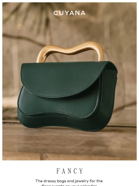 cuyana newsletter: The Dressy Edit