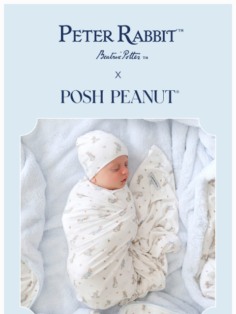 poshpeanut newsletter: 🥕🐰🐝 NEW: Peter Rabbit™ x Posh Peanut