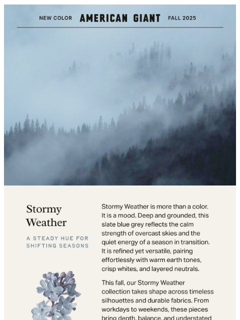 american-giant newsletter: Step Into Stormy Weather