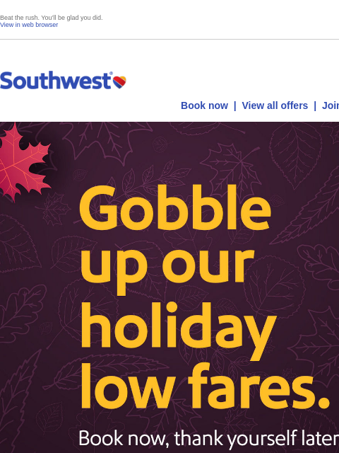 southwest newsletter: ✅ Check holiday flights off your list!