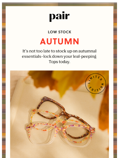 paireyewear newsletter: Low Stock on Autumn🍁