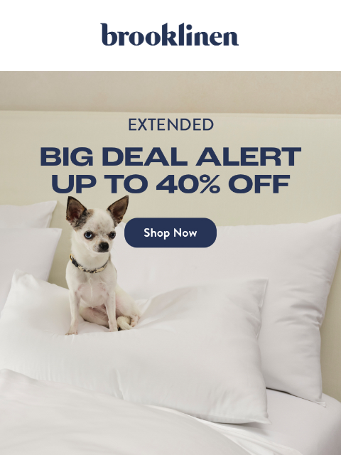 Save up to 40% off that comforter you NEED. ͏ ͏ ͏ ͏ ͏ ͏ ͏ ͏ ͏ ͏ ͏ ͏ ͏ ͏ ͏ ͏ ͏ ͏ ͏ ͏ ͏ ͏ ͏ ͏ ͏ ͏ ͏ ͏ ͏ ͏ ͏ ͏ ͏ ͏ ͏ ͏ ͏ ͏ ͏ ͏ ͏ ͏ ͏ ͏ ͏ ͏ ͏ ͏ ͏ ͏ ͏ ͏ ͏ ͏ ͏ ͏ ͏ ͏ ͏ ͏ ͏ ͏ ͏ ͏ ͏ ͏ ͏ ͏ ͏ ͏ ͏ ͏ ͏ ͏ ͏ ͏ ͏ ͏ ͏