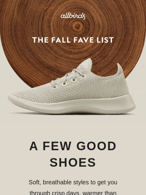 allbirds newsletter: Our Fall Edit