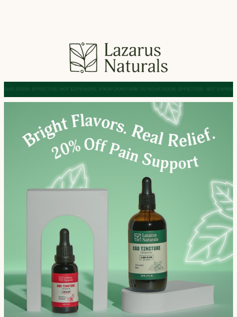 lazarusnaturals newsletter: 💪 Gain 20% off Pain Management & Recovery