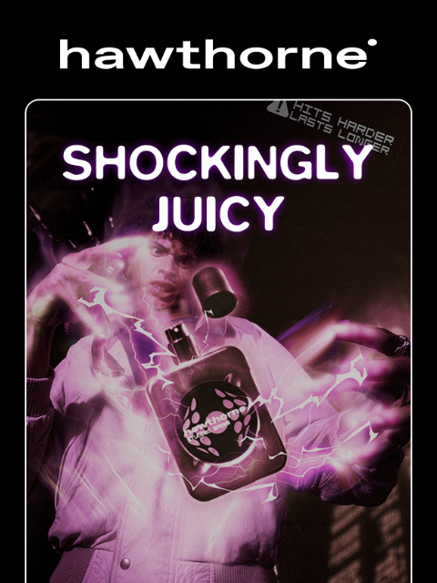 hawthorne newsletter: STUDDED SMOKE IS SHOCKINGLY JUICY