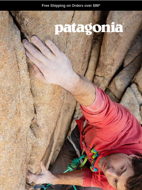 patagonia newsletter: More than a logo …
