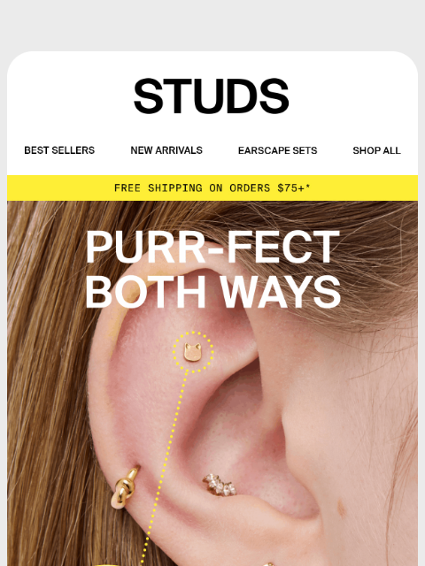 studs newsletter: 🐱Cat-ch both sides 🐈