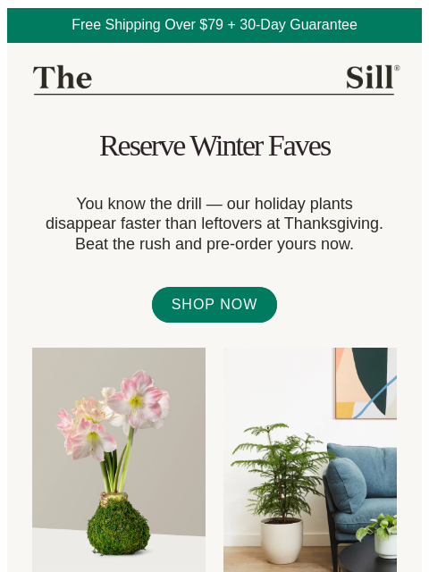 thesill newsletter: Reserve Your Holiday Favorites