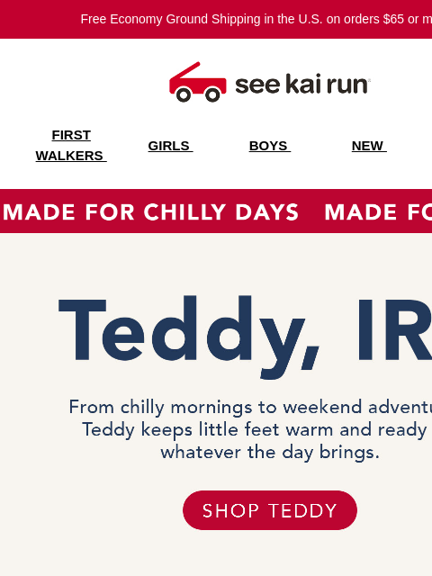 seekairun newsletter: Spotted: Teddy in the Wild 👀