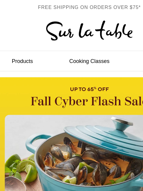surlatable newsletter: Fall Cyber Flash Sale:⚡Up to 65% off