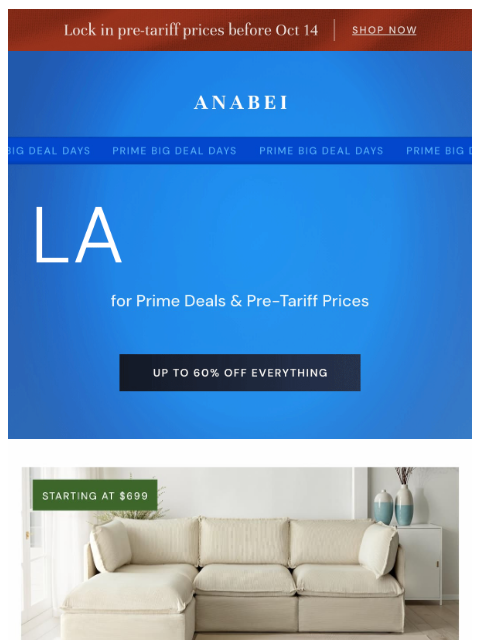 anabei newsletter: 💙 LAST CALL 💙