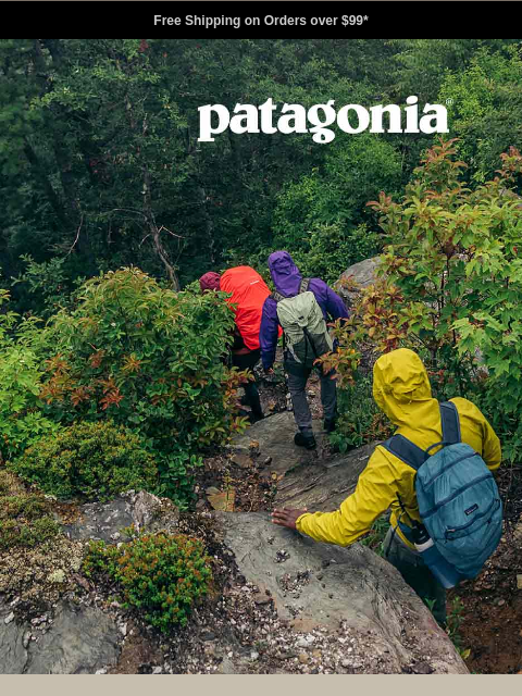 patagonia newsletter: Rain jackets that do their job for a long time