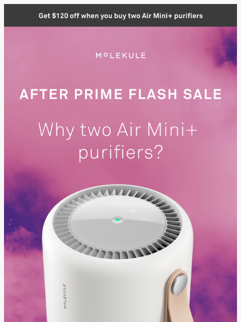 molekule newsletter: LAST CHANCE! Air Mini+ deal ends tonight.