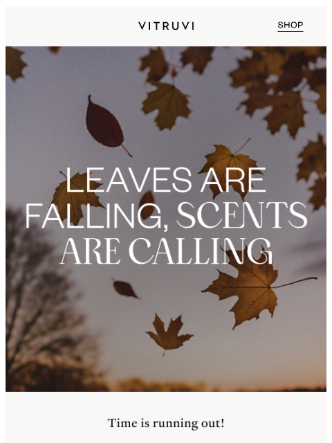 vitruvi newsletter: Seasonal Savings Ending SOON ๐