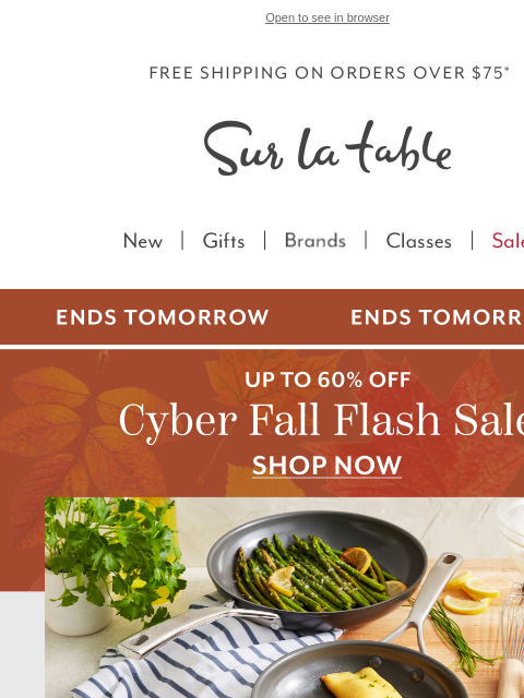 surlatable newsletter: β° Cyber Fall Flash Sale Ends Monday