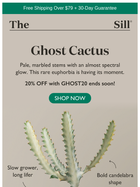 thesill newsletter: Your 20% OFF ends soon 👻