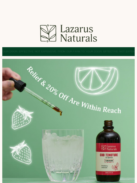 lazarusnaturals newsletter: ⚡ Recovery comes easier with 20% off