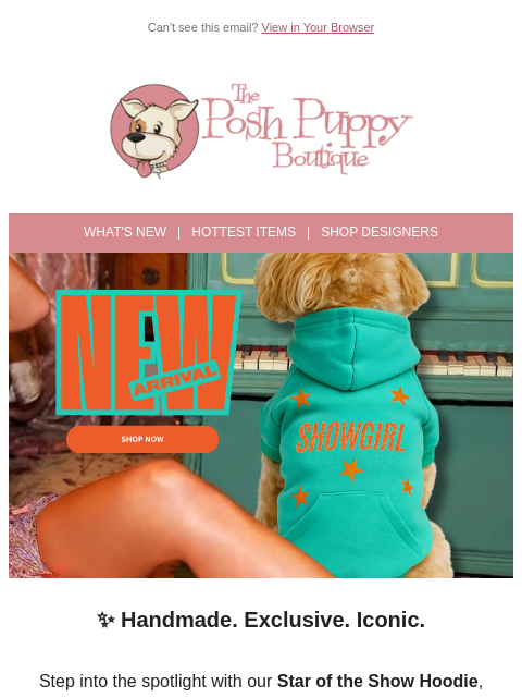 poshpuppyboutique newsletter: ✨ Exclusive Taylor-Inspired “Star of the Show” Hoo...