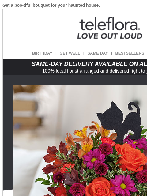 teleflora newsletter: You've Got $10.31 Creditππ Sneak A Halloween Pee...