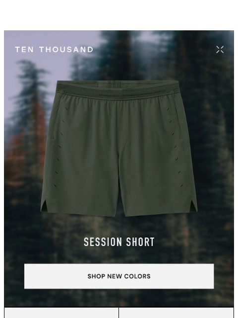 tenthousand newsletter: Session Short: Best-Selling Colors