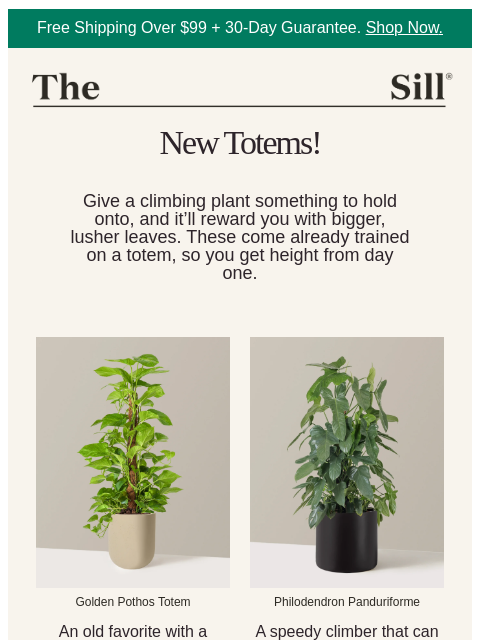thesill newsletter: 👋, ready to grow up?