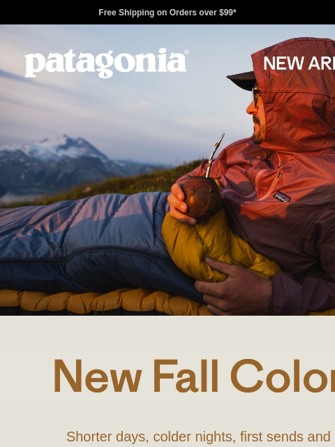 patagonia newsletter: New for fall