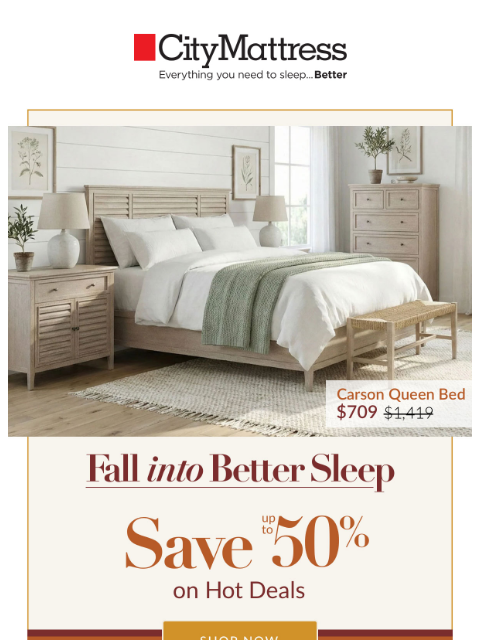 citymattress newsletter: 🍂 Falling prices! Up to 50% Hot Deals