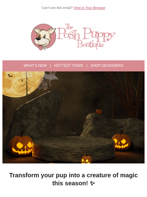poshpuppyboutique newsletter: Take Flight in Style — Wing Costumes Are Here!