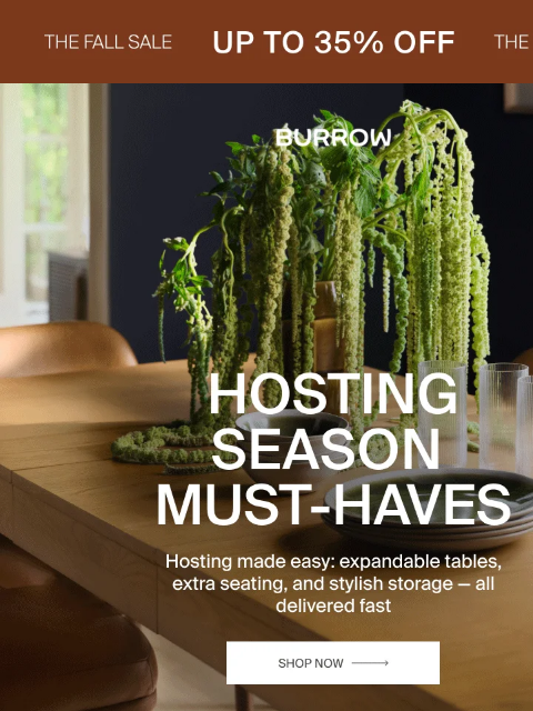 burrow newsletter: Holiday hosting, handled