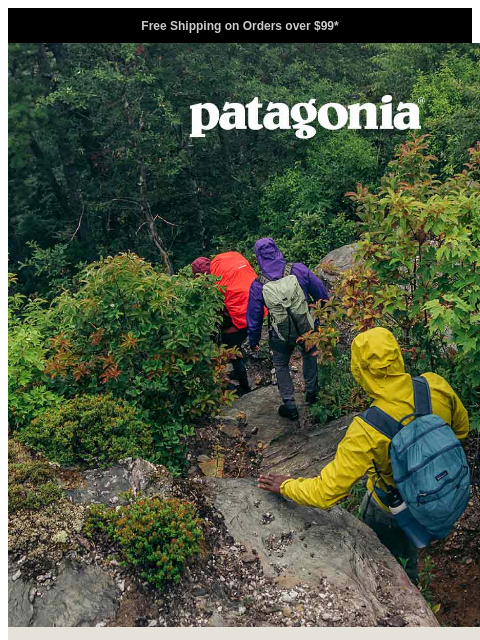 patagonia newsletter: Rain jackets that leave no excuses