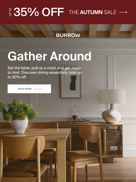 burrow newsletter: Your hosting lineup, sorted