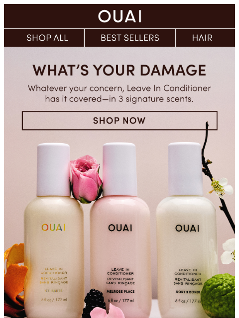 theouai newsletter: Breakage and knots and frizz, oh my