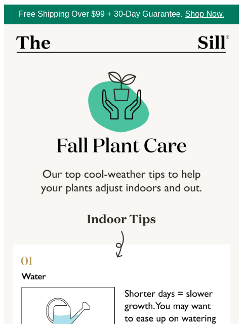 thesill newsletter: 🌟 Don't let this one get buried 🌟