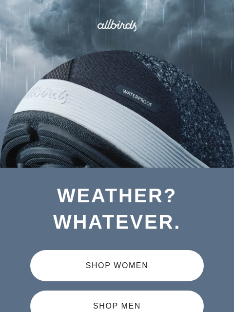 allbirds newsletter: Made From Wool, Built For Rain
