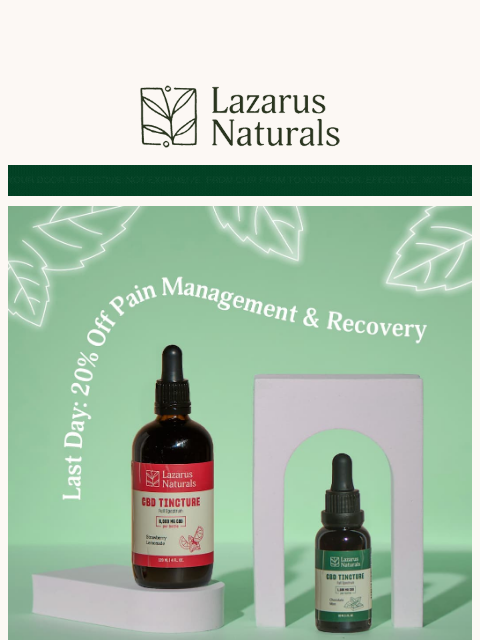 lazarusnaturals newsletter: ⌛ Last chance: 20% off Pain Management