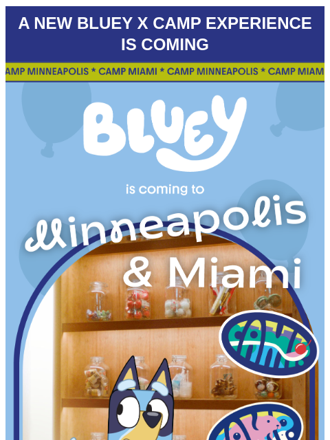 camp newsletter: The next Bluey x CAMP experience is coming! 🤩